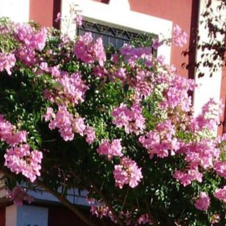 Casa Bignonia Vila Salteras Exterior foto