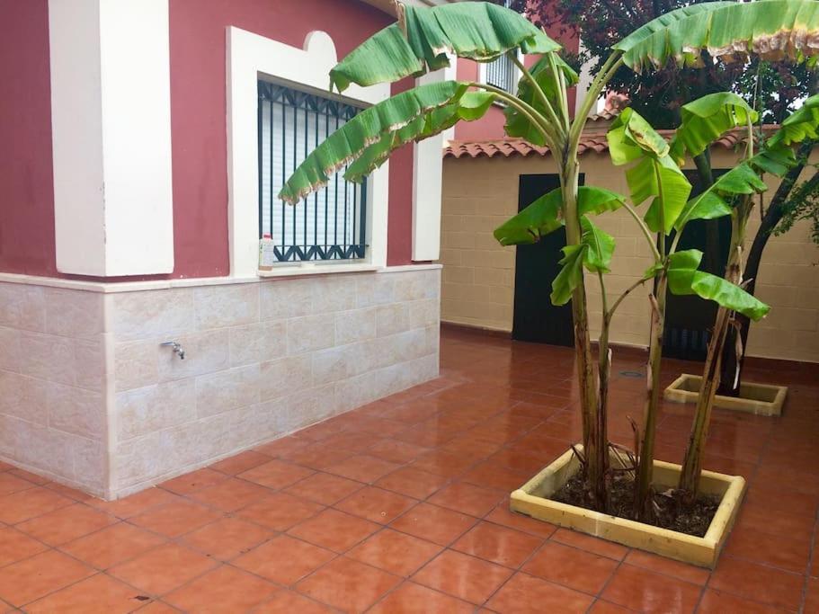 Casa Bignonia Vila Salteras Exterior foto